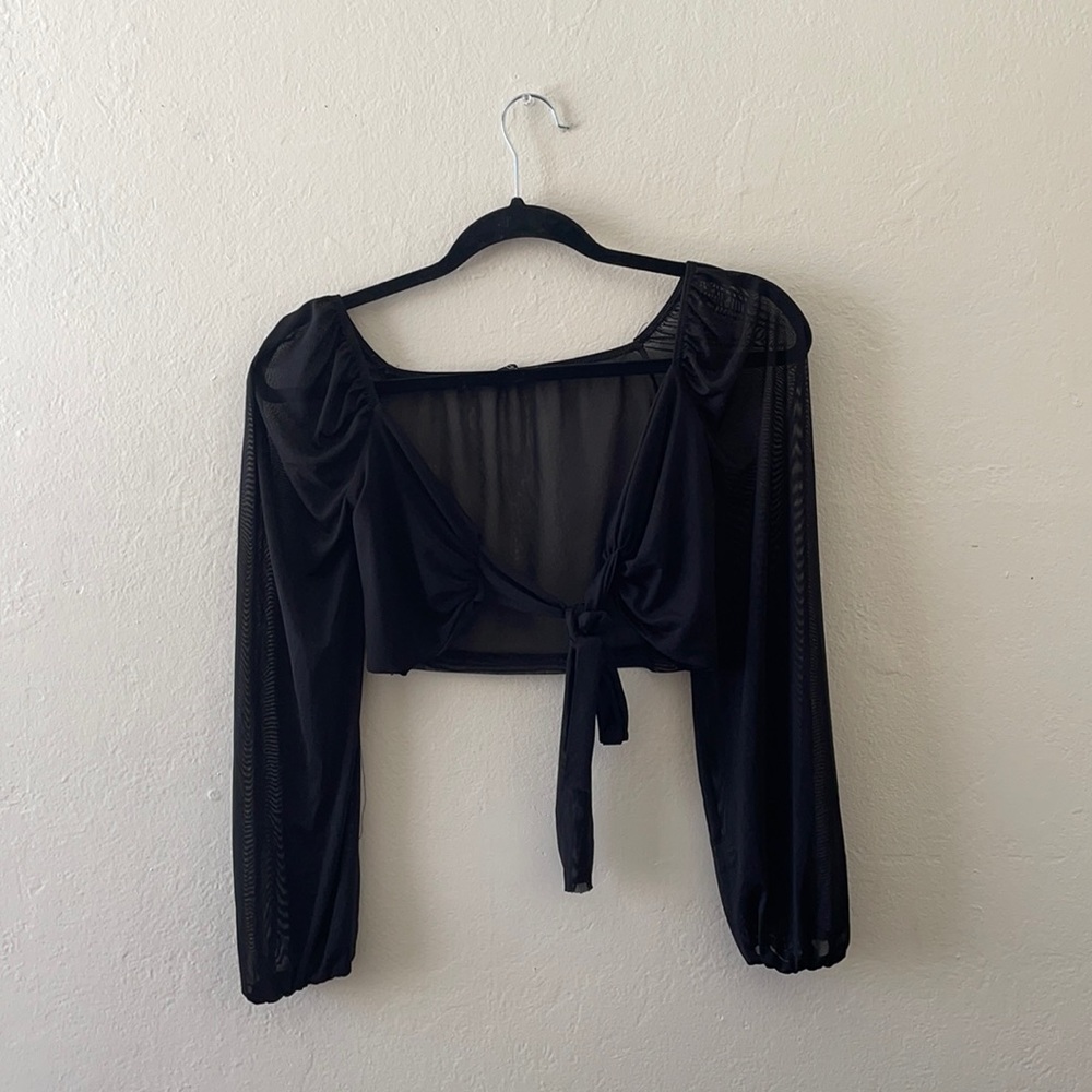 Sheer black long sleeve crop top with tie front